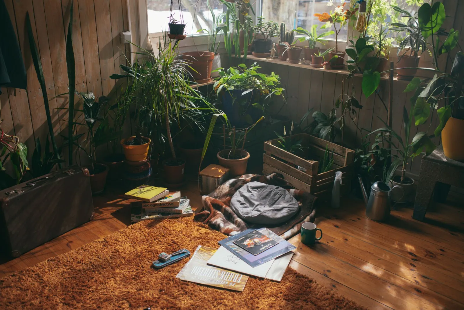 rincón acogedor de plantas