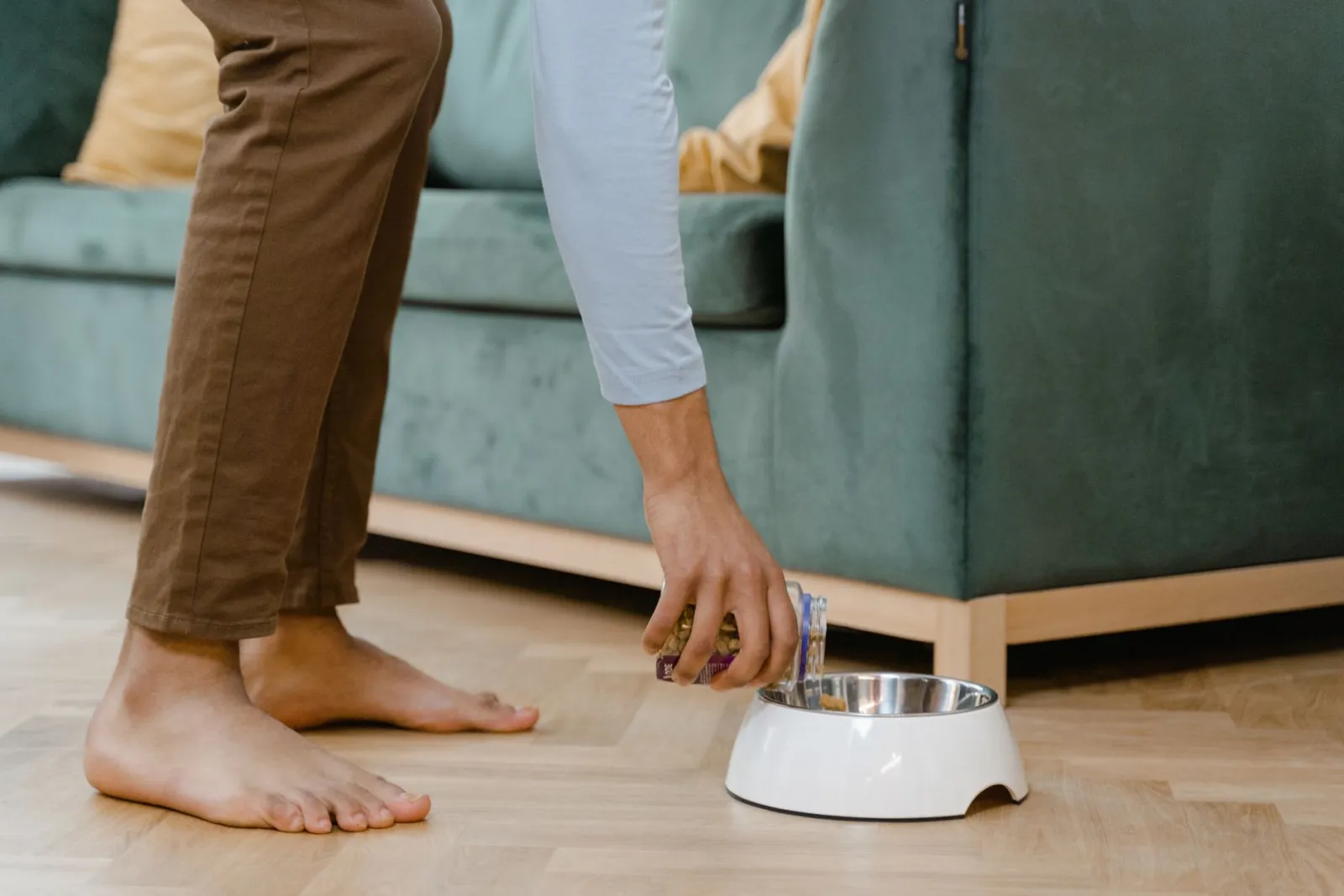 comedero para perro de acero inoxidable