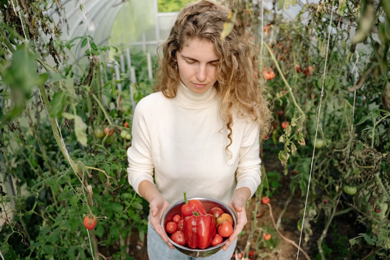 ¿Cómo cuidar el huerto y jardín en casa?